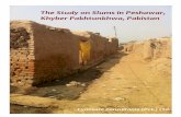 The Study on Slums in Peshawar, Khyber Pakhtunkhwa ... on...Final Report The Study on Slums in Peshawar, Khyber Pakhtunkhwa, Pakistan Submitted to United Nations Human Settlements
