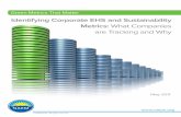 Identifying Corporate EHS and Sustainability Metrics: …c.ymcdn.com/.../resource/resmgr/Docs/gmtm-2012-p3-report-naem.pdf · Green Metrics that Matter: Identifying Corporate EHS