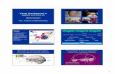 Visual development in babies and infants - CVRL Notes/Nardini/Nardini_BIOS3001.pdf · Visual development in babies and infants ... Visual development: Outline 1. Basic visual information