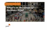 What’s on the minds of Serbian CEOs? - PwC Srbija · PDF file · 2017-03-08Welcome to the Serbian edition of PwC’s 20th annual Global CEO Survey. We surveyed 1,379 CEOs in 79