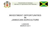 INVESTMENT OPPORTUNITIES IN JAMAICAN · PDF fileInvestment Opportunities in Jamaican Agriculture ... •Agro Investment Corporation-Details for Sector Analysis and Business ... Dunkin