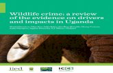 Wildlife crime: a review of the evidence on drivers and …pubs.iied.org/pdfs/17576IIED.pdfWildlife crime: a revieW of the evidence on drivers and impacts in Uganda about the authors