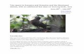 Trip report to Sumatra and Simeulue and the Mentawai ... Trogon, Rhinoceros Hornbill, Bushy-crested Hornbill, Black-crowned Pitta, Sumatran Drongo, Sumatran Treepie, Cream-striped