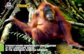 Strengthening BiodiverSity ConServation at Key … BiodiverSity ConServation at Key ... Sumatran rhinoceros and Sumatran ... Strengthening BiodiverSity ConServation at Key LandSCape
