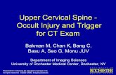 Upper Cervical Spine - Occult Injury and Trigger for CT Exam · PDF fileUpper Cervical Spine - Occult Injury and Trigger for CT Exam Bakman M, Chan K, ... exam to exclude occult pathology.
