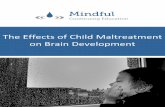 Understanding the Effects of Maltreatment on Brain Development Effects... · brain development, because at birth, very few synapses have been formed. ... Right before puberty, adolescent