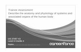 Trainee Assessment Describe the anatomy and · PDF fileTrainee Assessment Describe the anatomy and physiology of systems and associated organs of the human body US 27457 V2 Level 3