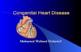 Congenital Heart Disease -   · PDF file– Cyanotic CHD (R ... Pathophysiology: ... both are infants with congenital heart disease. Tetralogy of Fallot ! Treatment: