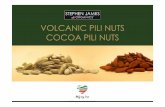 VOLCANIC PILI NUTS COCOA PILI NUTS - · PDF file · 2017-02-03SJO Volcanic Pili Nuts Providence and Sourcing • Harvested from tall, evergreen Pili trees (Canarium Ovatum), native
