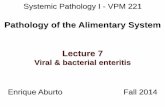Pathology of Alimentary System - University of Prince ...people.upei.ca/eaburto/Alim7/Alim-Lect7-14.pdf · Pathology of the Alimentary System Lecture 7 ... tonsillitis ... (related