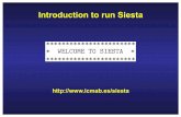 Introduction to run Siesta - unican.espersonales.unican.es/.../Metodos/Theory/How-to-run-siesta.pdf · To run Siesta you need 1. Access to the executable file 2. An input file Written