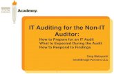 IT Auditing for the Non-IT Auditor - Chapters Site - Home · PDF fileGreg Matayoshi IntelliBridge Partners LLC . ... • IT General Control and Application Audits ... Electronic enforcement