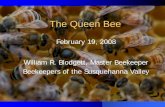 The Queen Bee Queen Bee.pdfQueen zLays 1000 to 1500 eggs per day z360 ovarioles – an egg producing tube in the ovary zStores 5-6 million sperm in both ovaries