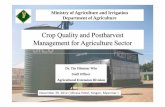 Crop Quality and Postharvest Management for … Quality and Postharvest Management for Agriculture Sector Ministry of Agriculture and Irrigation Department of Agriculture Dr. Tin Ohnmar