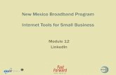 New Mexico Broadband Program Internet Tools for Small · PDF file · 2015-12-11New Mexico Broadband Program Internet Tools for Small Business Module 12 ... ) •Professional Networking