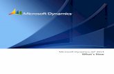 Microsoft Dynamics GP 2013 What’s New · PDF fileWHAT’S NEW 3 Chapter 1: Foundation enhancements This part of the documentation describes enhancements to the Microsoft Dynamics