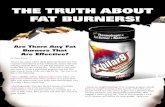 THE TRUTH ABOUT FAT BURNERS! - LuckyVitamin TRUTH ABOUT FAT BURNERS! Are There Any Fat Burners That Are Effective? ... There are certain supplements that can be taken in order to