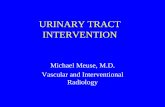 URINARY TRACT INTERVENTION - Charlotte Provide access for intervention (e.g. ureteral stones, endopyelotomy) ... liver, and colon •Entry site usually subcostal on the posterior axillary