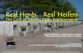 Real Herds…Real Heifers - Eau Claire County Waste Milk $5 per cwt Replacement value of calf housing ... doing business as the Division of Cooperative Extension of the University