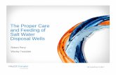 The Proper Care and Feeding of Salt Water Disposal Wells · PDF fileand Feeding of Salt Water Disposal Wells Robert Perry ... Flotation Coagulation/ Softening Air Strip, Chemical ...