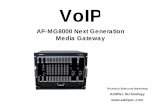 AP-MG8000 N t G ti MG8000 Next Generation Media … Next Generation Media Gateway (3) No. Interface Explanation (1) Asynchronous Serial One(1) RS-232C serial ports for Local system