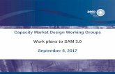 Capacity Market Design Working Groups Work plans to · PDF fileCapacity Market Design Working Groups Work plans to SAM 3.0 September 6, ... Seasonal capacity requirement . ... Seasonal