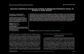 Invasive Cribriform Carcinoma Arising in Malignant ... · PDF fileKey Words: Invasive carcinoma; Phyllodes tumor; Breast; Cribriform Received: April 14, 2011 ... tubular structure,
