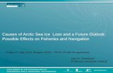 Causes of Arctic Sea Ice Loss and a Future Outlook ... · PDF fileCauses of Arctic Sea Ice Loss and a Future Outlook: Possible Effects on Fisheries and Navigation CHALLENGES OF THE