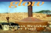 Biomass Residue For Fuel - BioEnergy · PDF fileEconomics of Rice Hull Cookers and Other Cooking Systems ... (Paper presented in Consultation on Modern Applications of Biomass ...
