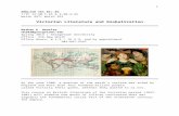 Victorian Literature and Globalization - The Prospect: · Web viewThis element of the grade measures your contribution to the collective labor of the class. There are many ways to