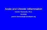 Acute and Chronic Inflammation - Buffalo, NY chronic inflammation, ... healthy tissue in a misdirected attempt at repair and healing. Diseases characterized by chronic inflammation