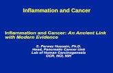Inflammation and Cancer inflammation and cancer may have potential implications ... CHRONIC INFLAMMATION AND INFECTION ... (DNA Repair Enzymes, Caspases)