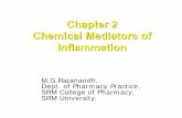 Chemical Mediators of Inflammation - SRM · PDF fileChemical Mediators of Inflammation. M.G.Rajanandh, Dept. of Pharmacy Practice, SRM College of Pharmacy, ... Acute inflammation: