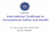 International Certificate in Occupational Safety and  · PDF fileDirector, NEBOSH. NEBOSH ... the scope and nature of occupational health and safety ... 12/30/2008 10:58:27 AM
