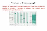 Principles of Chromatography - Winston-Salem/Forsyth ... · PDF filePrinciples of Chromatography Process by which one separate compounds from one another by passing a mixture through