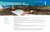 Primus Line - Rehabilitation of Leaking Water Main ROL Rehabilitation of Leaking Water Main Summary In March 2016, the Lismore City Council in New South Wales was faced with a leaking