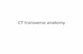 CT transverse anatomy - St. Louis Nuclear Medicine Homegamma.wustl.edu/docs/CT-transverse-anatomy.pdf · CT transverse anatomy. 1. Aorta 2. Inferior Vena Cava 3. ... 11.External Oblique