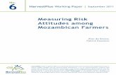 Measuring Risk Attitudes among Mozambican Farmers ... · PDF fileMeasuring Risk Attitudes among Mozambican Farmers ... Measuring Risk Attitudes among Mozambican Farmers ... literacy,
