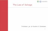 The Law of Salvage - Universitetet i  · PDF filethe state of readiness and efficiency of the salvor's equipment and the value thereof ... salvage convention