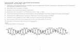 UNIT FOUR: DNA, RNA, PROTEIN SYNTHESIS Chapters 9 · PDF fileUNIT FOUR: DNA, RNA, PROTEIN SYNTHESIS Chapters 9, 10, and Pg. 127 1. Describe the experiments by Grifﬁth, and Hershey