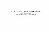 T.Y.B.Sc. Microbiology Syllabus - Official Website. T Y B Sc... · T.Y.B.Sc. Microbiology Syllabus Submitted on 13/4/2010 . 2 University of Pune Equivalences for the old Courses with
