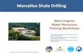 Marcellus Shale Drilling - Interstate Commission on the · PDF file · 2017-12-15Why Marcellus? Why now? • Oil and gas prices • Better horizontal drilling and hydrofracking techniques