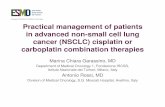 ESMO E-Learning: Management of Advanced NSCLC: …oncologypro.esmo.org/content/download/38068/749531/file/managemen… · cancer (NSCLC) cisplatin or carboplatin combination therapies