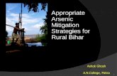 Appropriate Arsenic Mitigation Strategies for Rural … Arsenic Mitigation Strategies for Rural Bihar 1 Ashok Ghosh A.N.College, Patna. 2 ... Sitamarhi Madhubani Supaul Araria Kishanganj