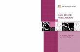 PAIN RELIEF FOR LABOUR - School of · PDF fileMedicine, 1994. 3: p. 43-48. 5. Bloom, S.L., ... pain management in labour (Cochrane Review). Issue 2 ... expectation of pain increases