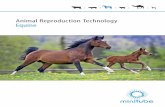Animal Reproduction Technology Equine - Minitube Reproduction Technology Equine. ... We need detailed knowledge of reproductive ... technologies as well as applied research that leads