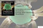 Chapter 5 Principles of Chemical Reactivity: Energy and ... · PDF filePrinciples of Chemical Reactivity: Energy and Chemical Reactions . ... EXOTHERMIC. • In the case of ... ENDOTHERMIC.
