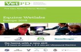 Equine Wetlabs - VetPD · PDF fileEquine Wetlabs Europe 2018 First ... Equine Reproductive Services, UK Tom Stout VetMB, MA, PhD, Dipl.ECAR, KNMvD – Utrecht University, ... Techniques