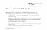 Cancer and the Cell Cycle - Welcome to URMC 2.1a Section 1 available on CD ... Click on “Cancer and the Cell Cycle”, ... wall material Cell plate New cell wall