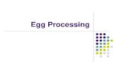 Commercial Egg Processing - U.S. Poultry & Egg · PDF fileEgg Processing Systems In-Line Processing Egg processing occurs at the same location as the egg production facility. This